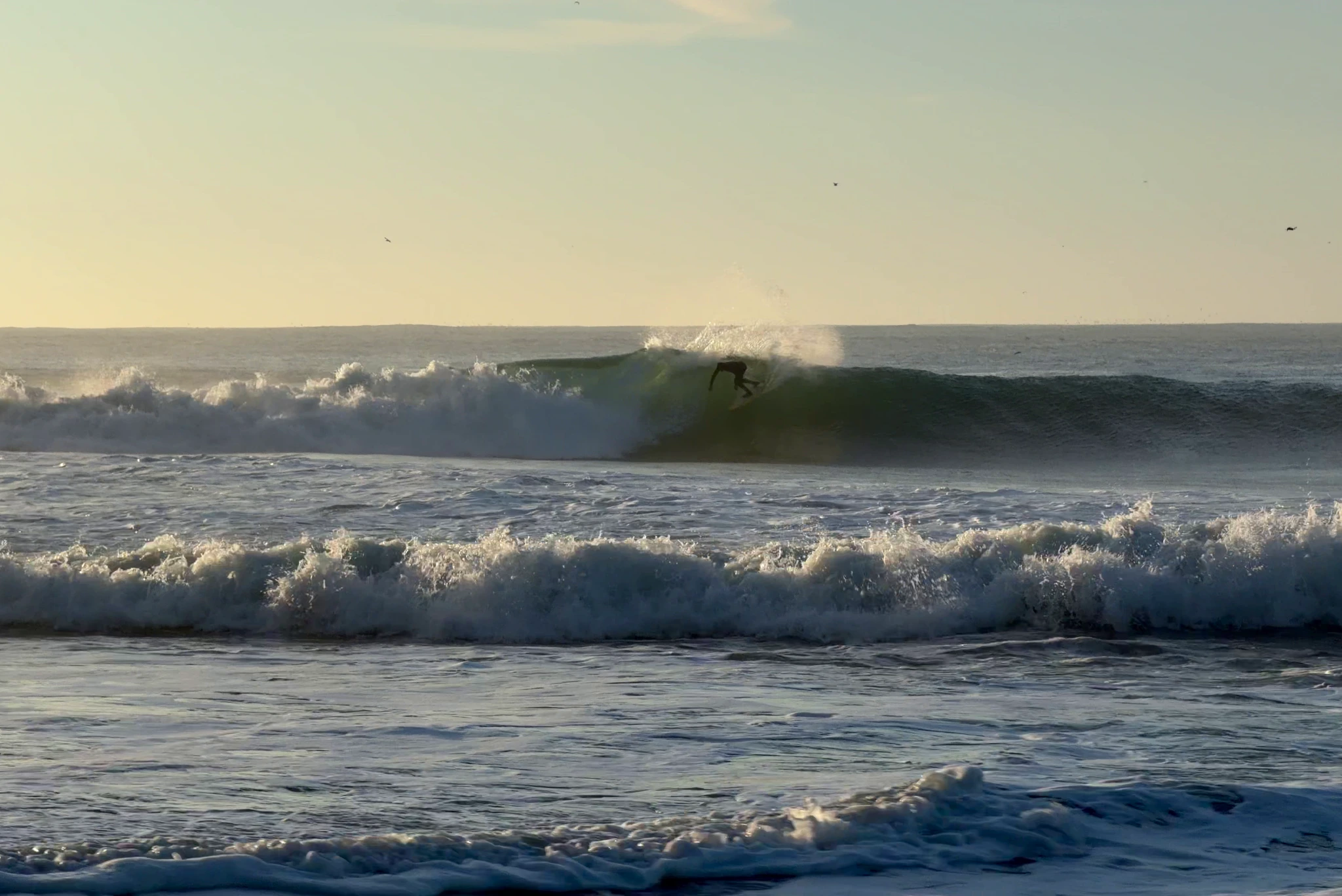 Surfing buchupureo