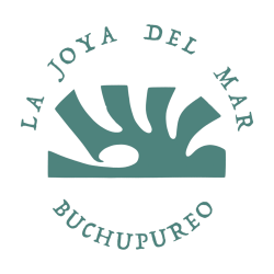 Diseño sin título (5)
